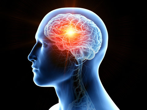 Techniques for Cognitive Enhancement